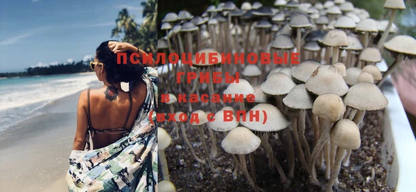 ПСИЛОЦИБИНОВЫЕ ГРИБЫ Арсеньев