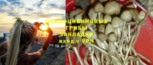 прущие крисы Армянск