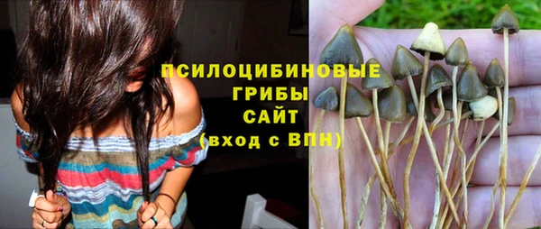 дживик Аркадак